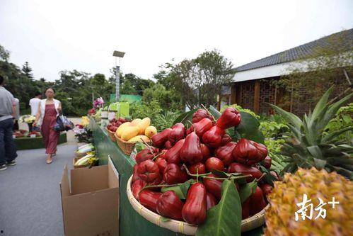 怎么进吃瓜群众官网地址