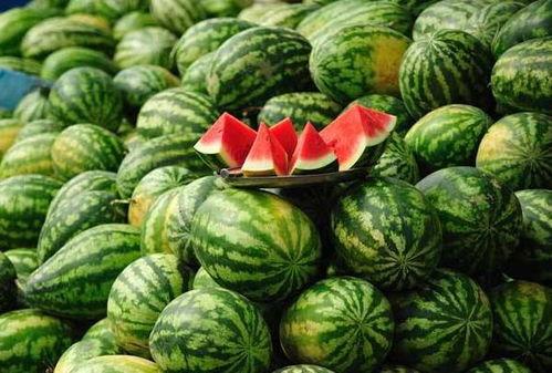 成人吃瓜网,网络社交新趋势下的娱乐盛宴