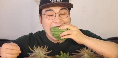 吃瓜小哥网红叫什么,揭秘网红背后的故事