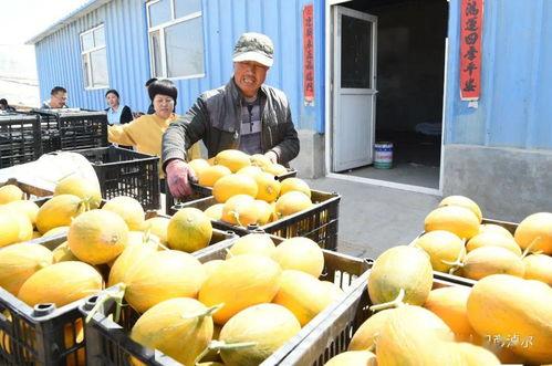 网红请吃瓜,揭秘网络红人的幕后故事