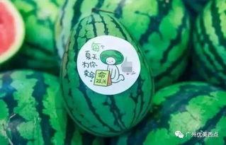 ccggct吃瓜网最新,揭秘娱乐圈最新热点事件