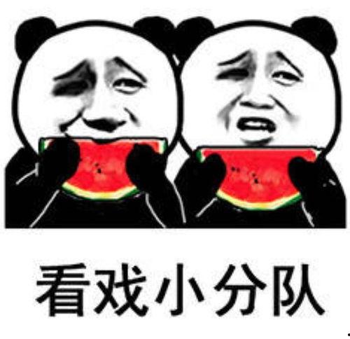 娱乐圈吃瓜百科图片表情包